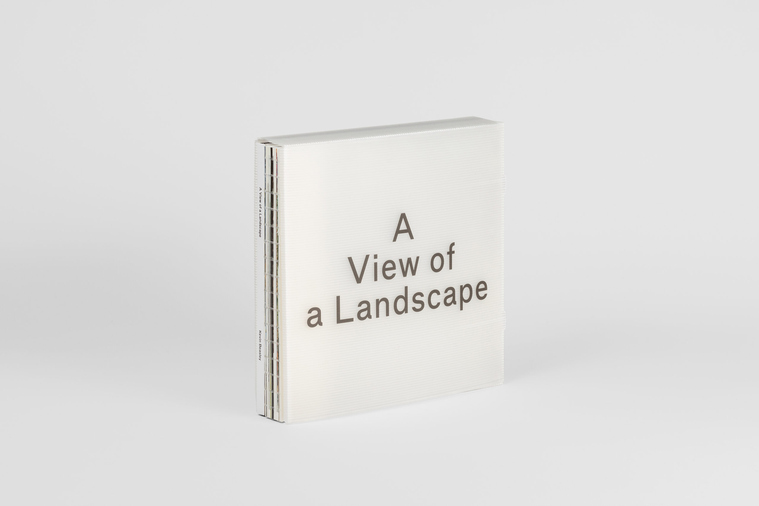 Kevin Beasley: A View of a Landscape