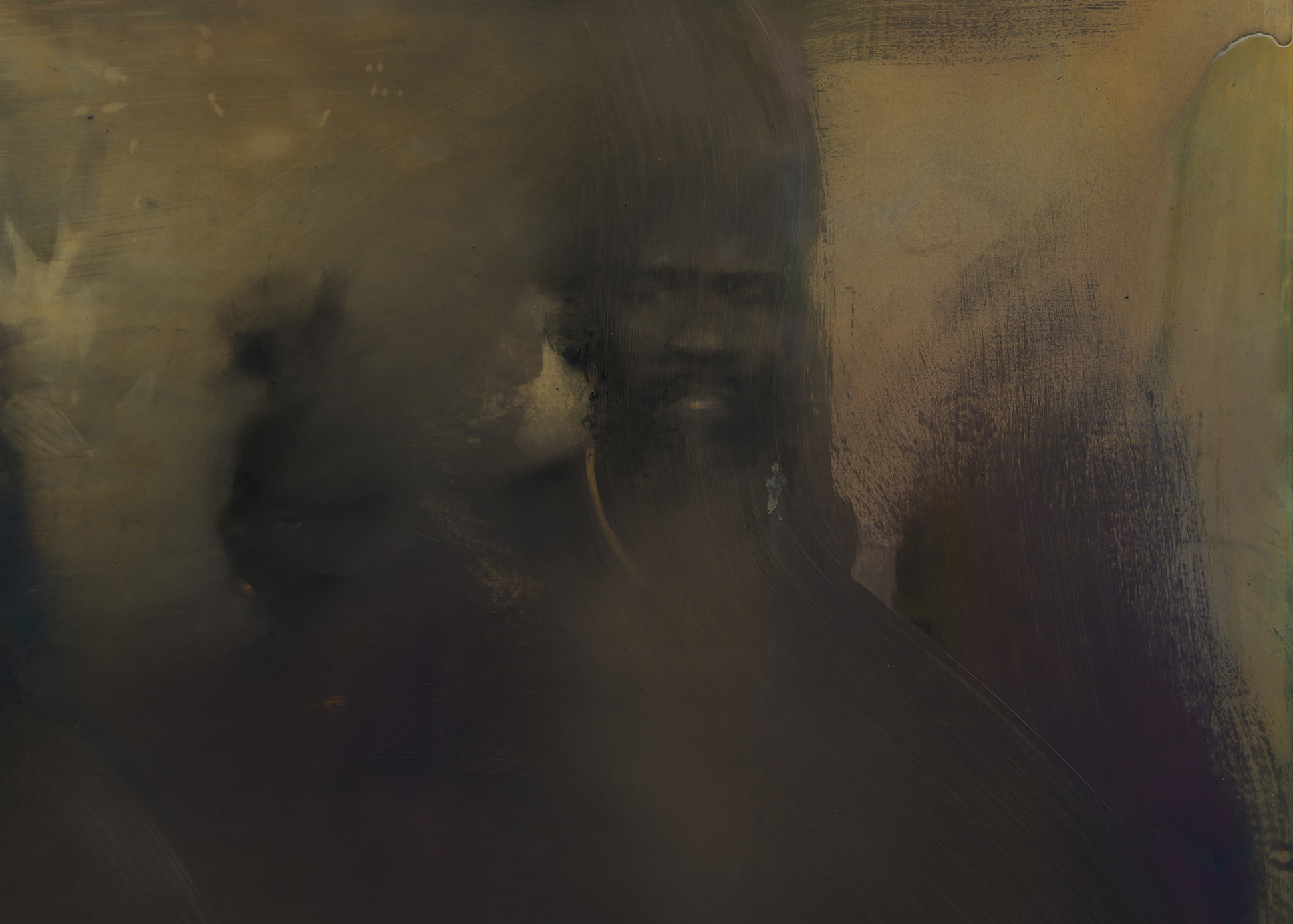 The Forest is the Water